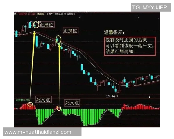 运动新闻波动止损指标VS的实用技巧与应用分析探讨